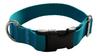 Dog Collar 2 Cm with Buckle Adjustable Turquoise Fasten Dog Collar 2 Cm with Buckle Adjustable Turquoise Fasten XS: 20-28cm