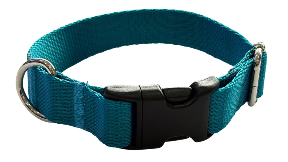 Dog Collar 2 Cm with Buckle Adjustable Turquoise Fasten Dog Collar 2 Cm with Buckle Adjustable Turquoise Fasten XS: 20-28cm