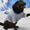 MUNIKUND Wuff Pullover - Blue
