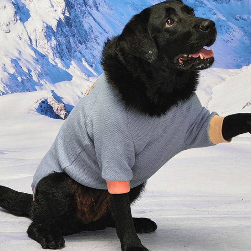 MUNIKUND Wuff Pullover - Blue