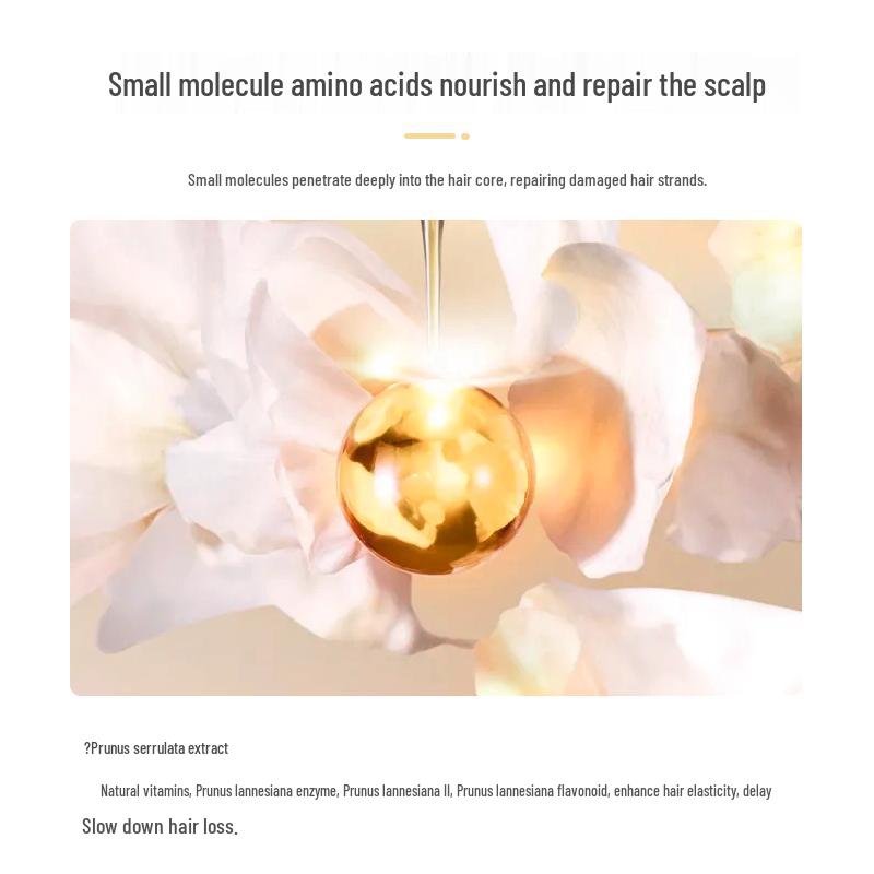 Qianxiang Evening Cherry Blossom Amino Acid Shampoo