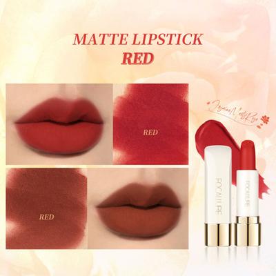 Luxury High Saturation Woman Makeup Lip Lipstick for Daily Life