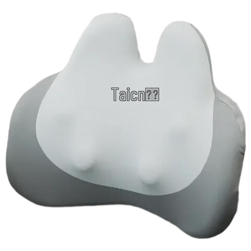 Taicn Multi-functional Full Body Massage Cushion