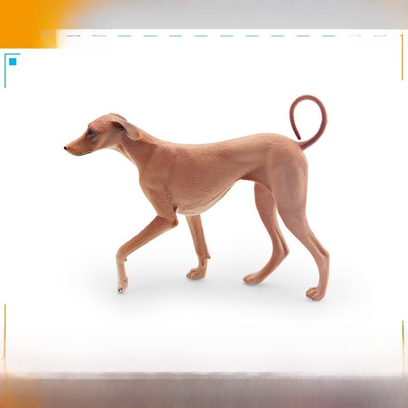 Azawakh Dog Model Collectible Pvc Figure For Kids And Pet Enthusiasts