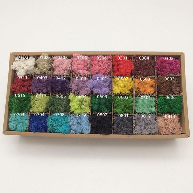 Handmade Artificial Plants Preserved Moss Simulation Fake Plant Garden Decor Landscape Wall Decor Home Decoration Accessories Gifts