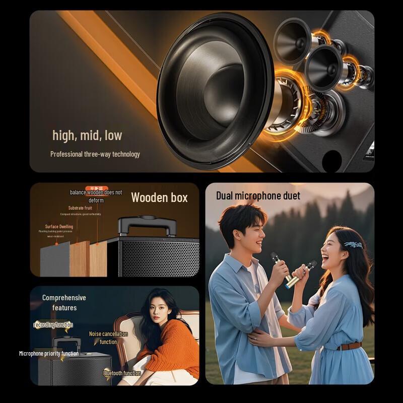 Suoai 8-inch Portable KTV Speaker with Dual Microphones