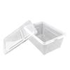 Reptile and Insect Transport & Breeding Box for Turtles, Lizards, Hermit Crabs, & Beetles.