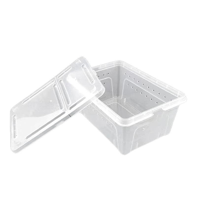 Reptile and Insect Transport & Breeding Box for Turtles, Lizards, Hermit Crabs, & Beetles.