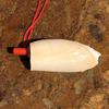 Street Stall Conch Shell Whistles & Toys: Creative Souvenirs