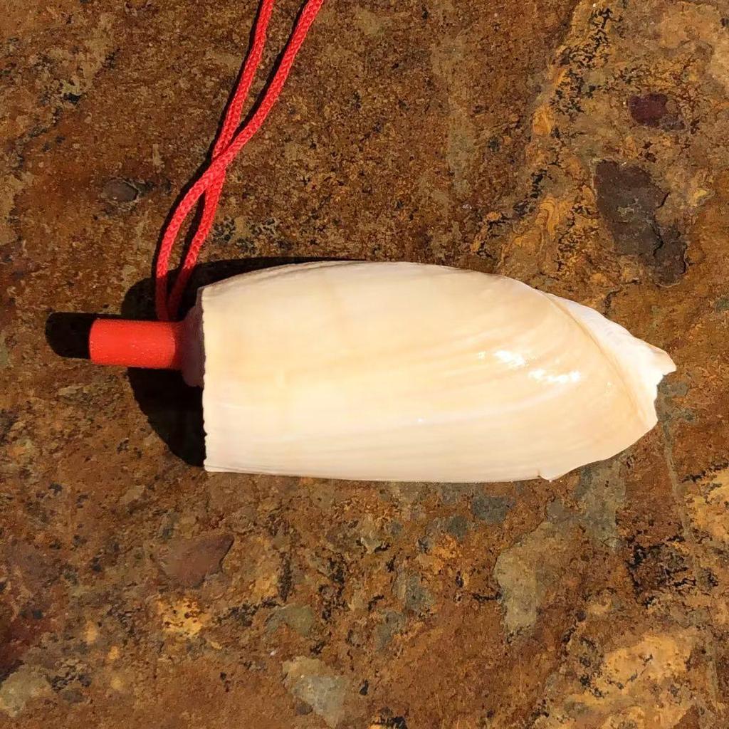 Street Stall Conch Shell Whistles & Toys: Creative Souvenirs
