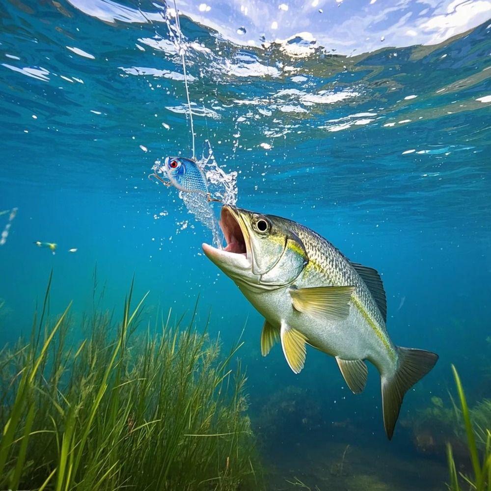 5PCS ABS Fishing Lure 5 Colors Minnow Lures New Floating Minnow Baits  Winter Fishing