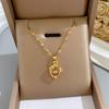 Wind Spirit Dolphin Necklace for Women Fresh Micro Set Simple Versatile Choker Unique Elegant Look