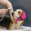 Anxiety Relief Dog Ear Protection Waterproof Muffs Reducing Scare Calming Head Summer Hood Safety Swimming Anxious Anti Noi A0I9