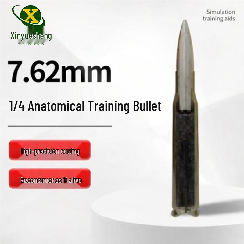 7.62mm Ammunition Quarter Dissection Training Model