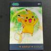Pokémon Trading Card Pikachu 3D Evolution Card Pichu Raichu Advanced Generation Diamond Pearl Lenticular/&