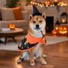 1 Set Pet Halloween Wizard Hat Costume Cat