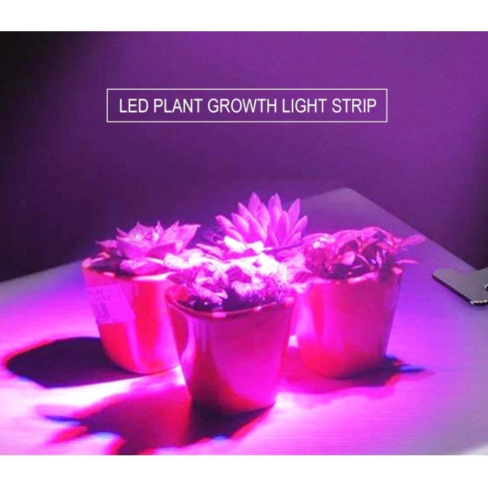 LED Grow Light Waterproof Indoor Veg Plant Growing Lamp Plant Grow LED Light for Plants Flowers Greenhouse Hydroponic 1M 2M 2M 5M
