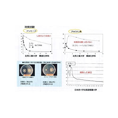 Environmental Daizen Deodorizing Spray for Indoor Use, 100ml, Fragrance-Free, Kieru Active Water, Safe for Skin Contact, Mask Deodorizer, 1 Bottle