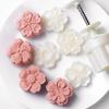 Zhaoran Hand Press Mooncake & Mung Bean Cake Mold Set