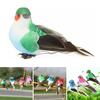 Fake Bird Craft Iron Wire Fixing Colorful Feather Animal Model Handicraft Decoration Cute Simulation Foam Bird Model Ornament for Garden Branches