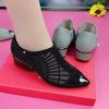 New Pointed-toe, Chunk-heeled Dancing Shoes Are Comfortable, Versatile and Breathable Single Shoes