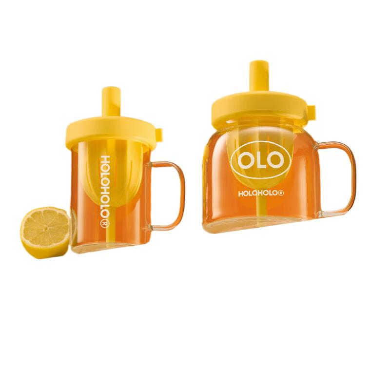 HOLOHOLO High Borosilicate Glass Tea Infuser Mug
