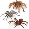 Simulation Tiere Insekt Solides Modell Tarantel Schwarze Spinne Halloween Kniffliger Streich Gruselig Lustig Actionfiguren Lernspielzeug