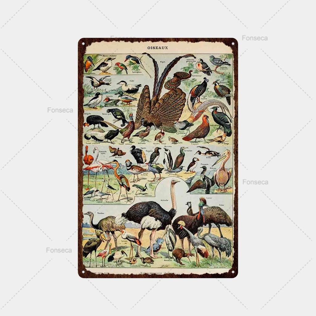 Ryby, ryby, květiny Odrůda Cedule Plechový cedule Vintage plechová cedule Bar Vintage Wall Decor Bar Club Man Cave Kovový plakát