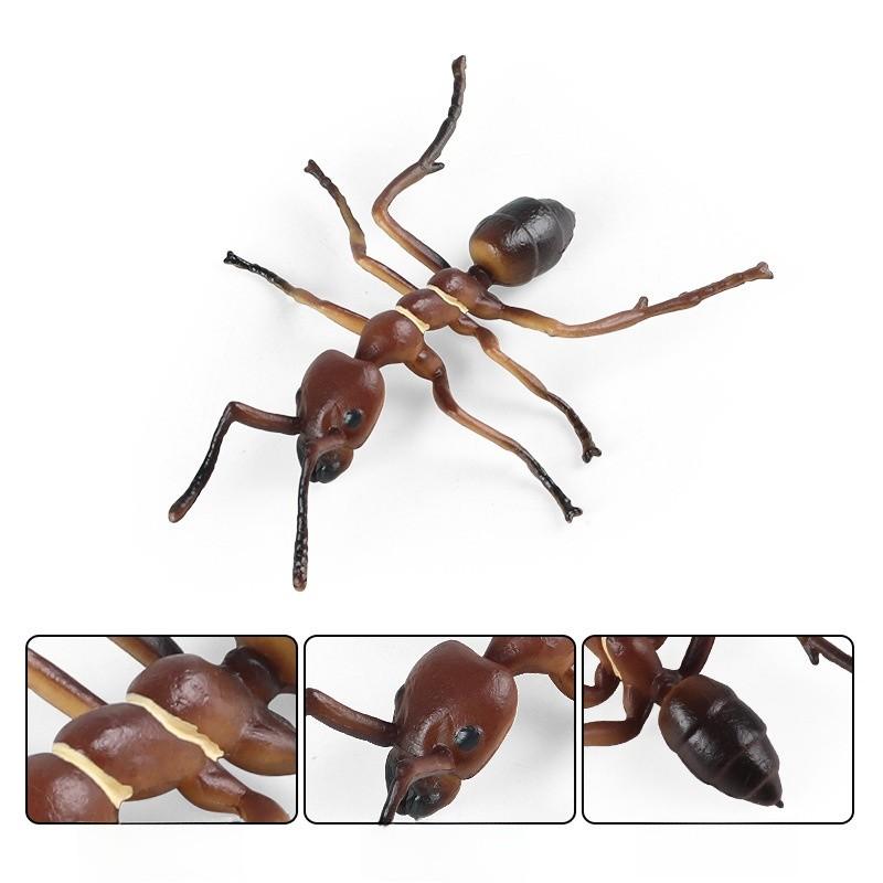 Educational Animal Insect Model Pack Plastic Figures Kid Learning Schooling Home