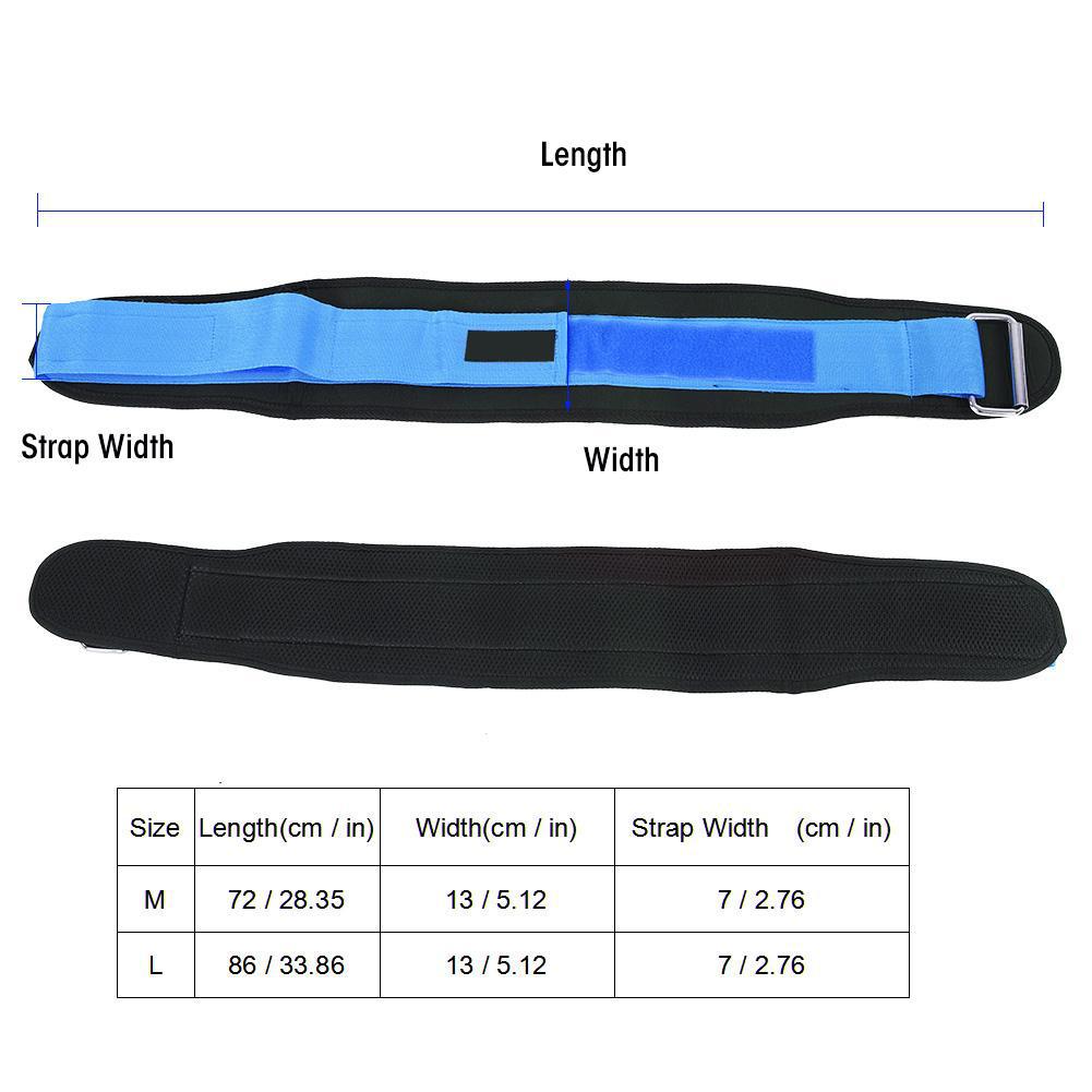 Unisex Weightlifting Waist Supporter Protector Belt Elastic Brace Sports Running Squats Blue XL