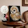 DIY Owl Pearl Art Painting for Adults/Beginners Gift Home Decor Pearl Gem Paintings Picture Arts Craft 30x40cm Without Frame