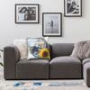 Frutiger Aero Pillow Case  Soft Pillow Cover Kawaii Pillowcases For Living Room Chair