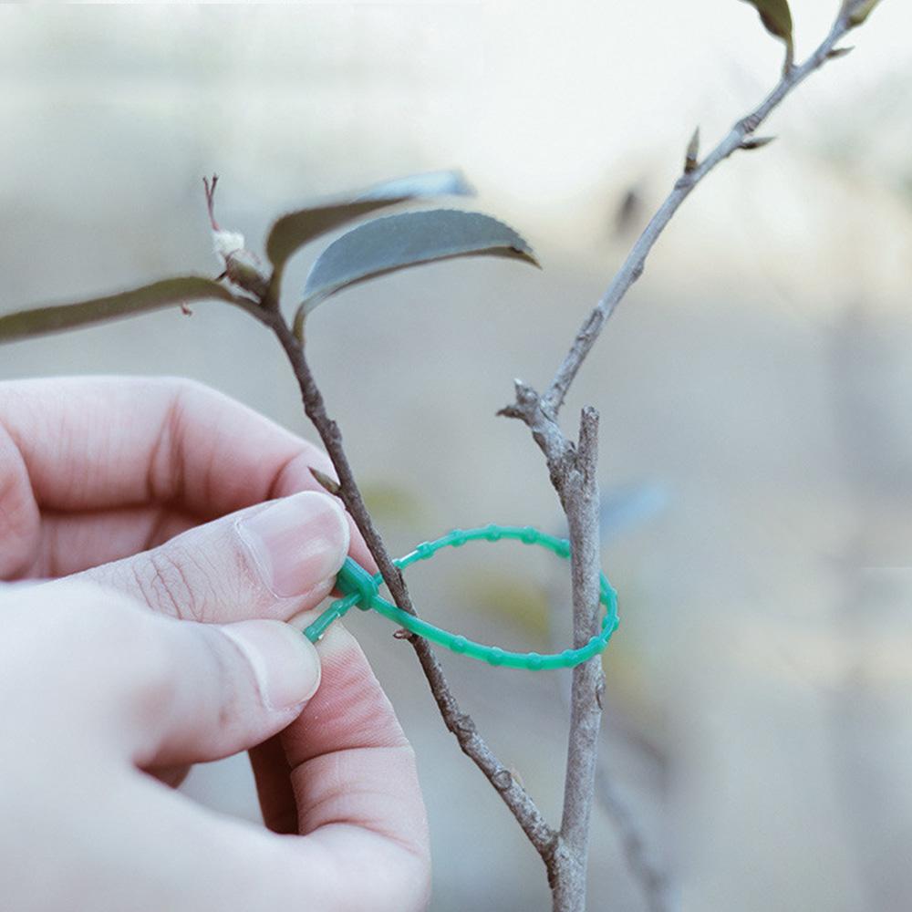 Tree Garden Tool Greenhouse Climbing Vine Clamp Fixed Buckles Plant Support Clip Cable Ties