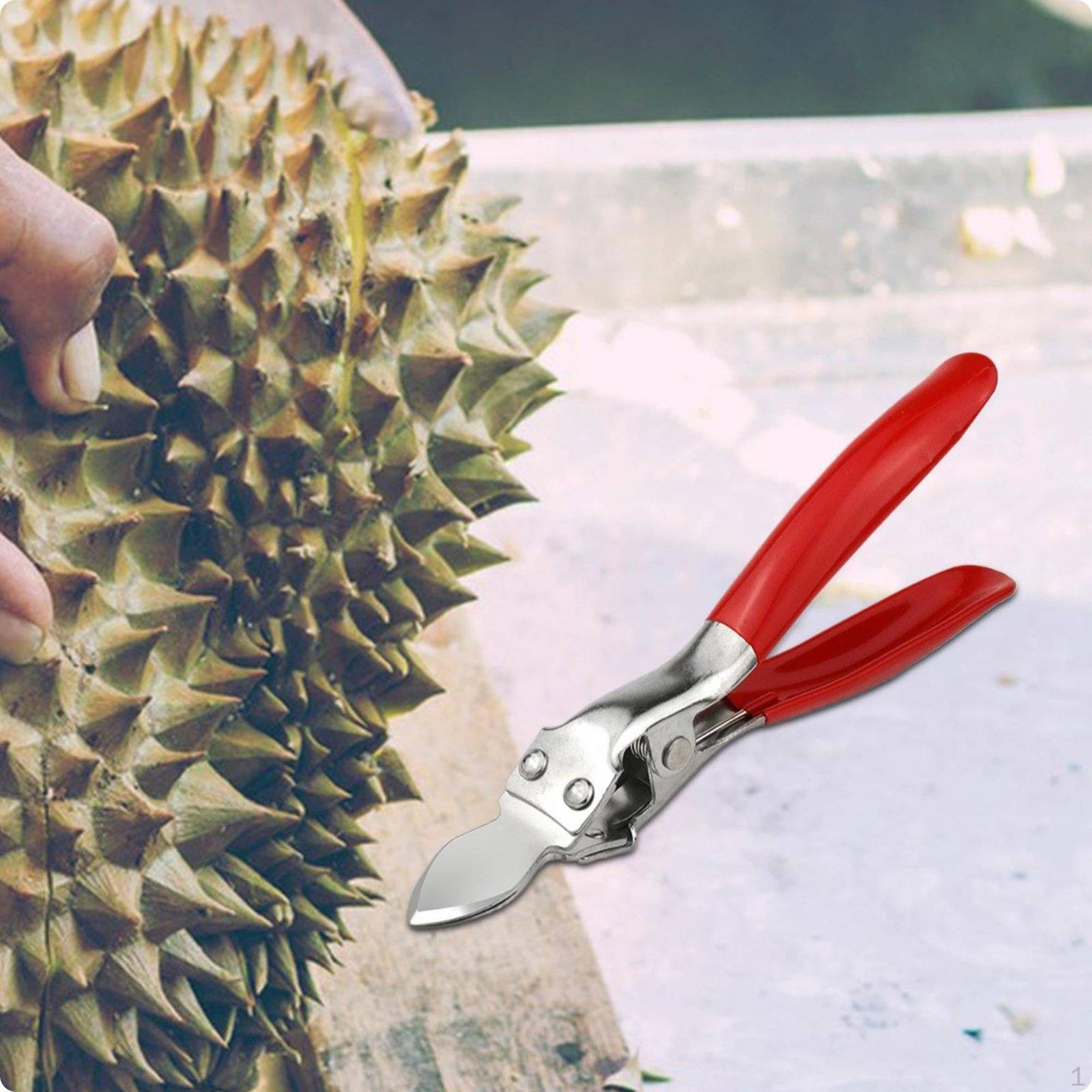 Durian Opening Tool Stainless Steel Opener Thickened Fruit Clip for Kitchen