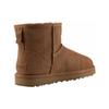 UGG Classic Mini UGG Women's Boots 1108231-CHE
