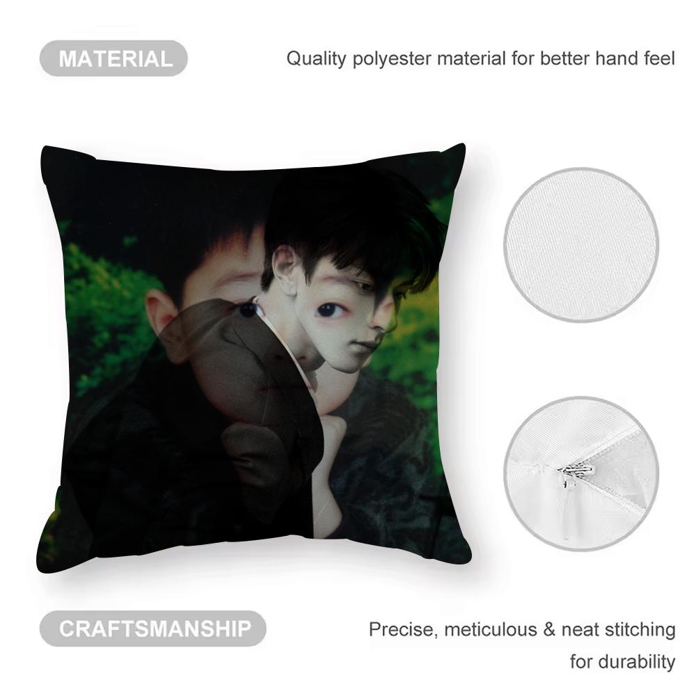 LinYi Chinese Actor Cushion Cover Anti-dustmite Pillowcase Invisible Zipper Silky Short Plush Sofa Cushion Cover
