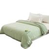 Fang'en B6069-1 Mugwort Mosquito Repellent Comforter