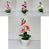 Butterfly Orchid Artificial Flower With Realistic Design For Home Decor And Photography Use