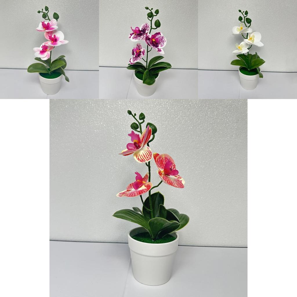 Butterfly Orchid Artificial Flower With Realistic Design For Home Decor And Photography Use