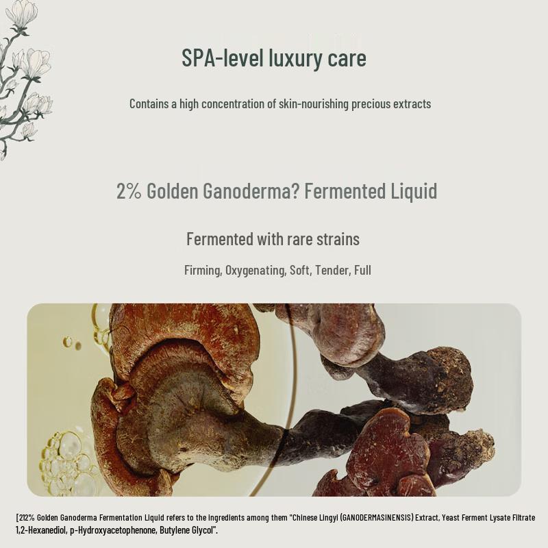 AARYE Wild Mountain Scented Hand Cream & Card Gift Set