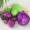 Artificial Cabbage Realistic Craft Simulation Fake Vegetable Green Purple Model for Kitchen Decor