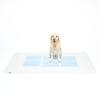 PetPro Happy Days Washable Deodorizing Waterproof Sheet LL