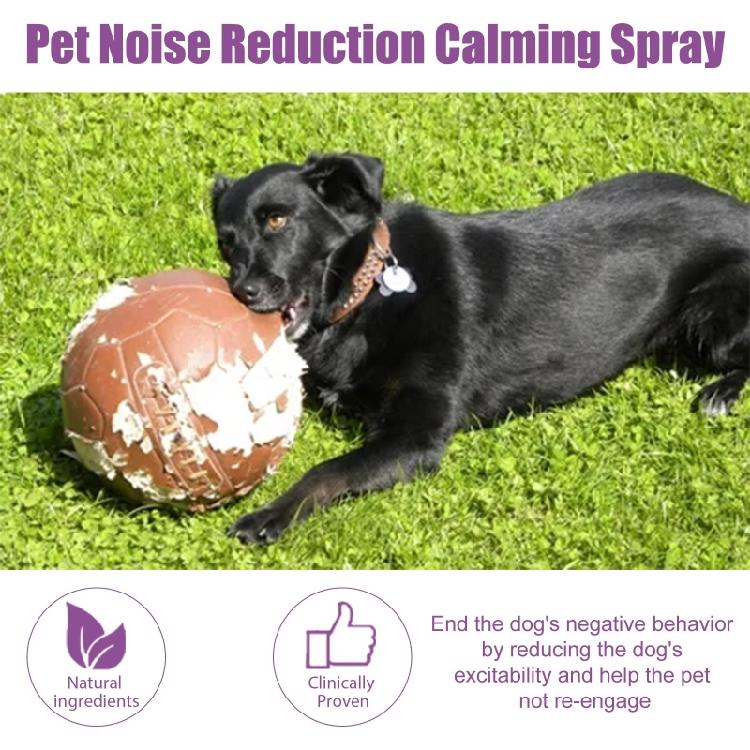 Hunde-Beruhigungs-Pheromon-Spray 50 ml für Tierarztbesuche und stressige Ereignisse