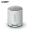 Sony SRS-XB100 Portable Bluetooth Speaker