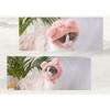 Plush Cat Ear Headband Hat For Small Dogs Birthday Party Decoration