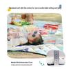 Portable Outdoor Picnic Mat
