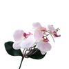 Cloth Simulation Phalaenopsis Vivid Fake Butterfly Orchid Artificial Moth Orchids  Bedroom