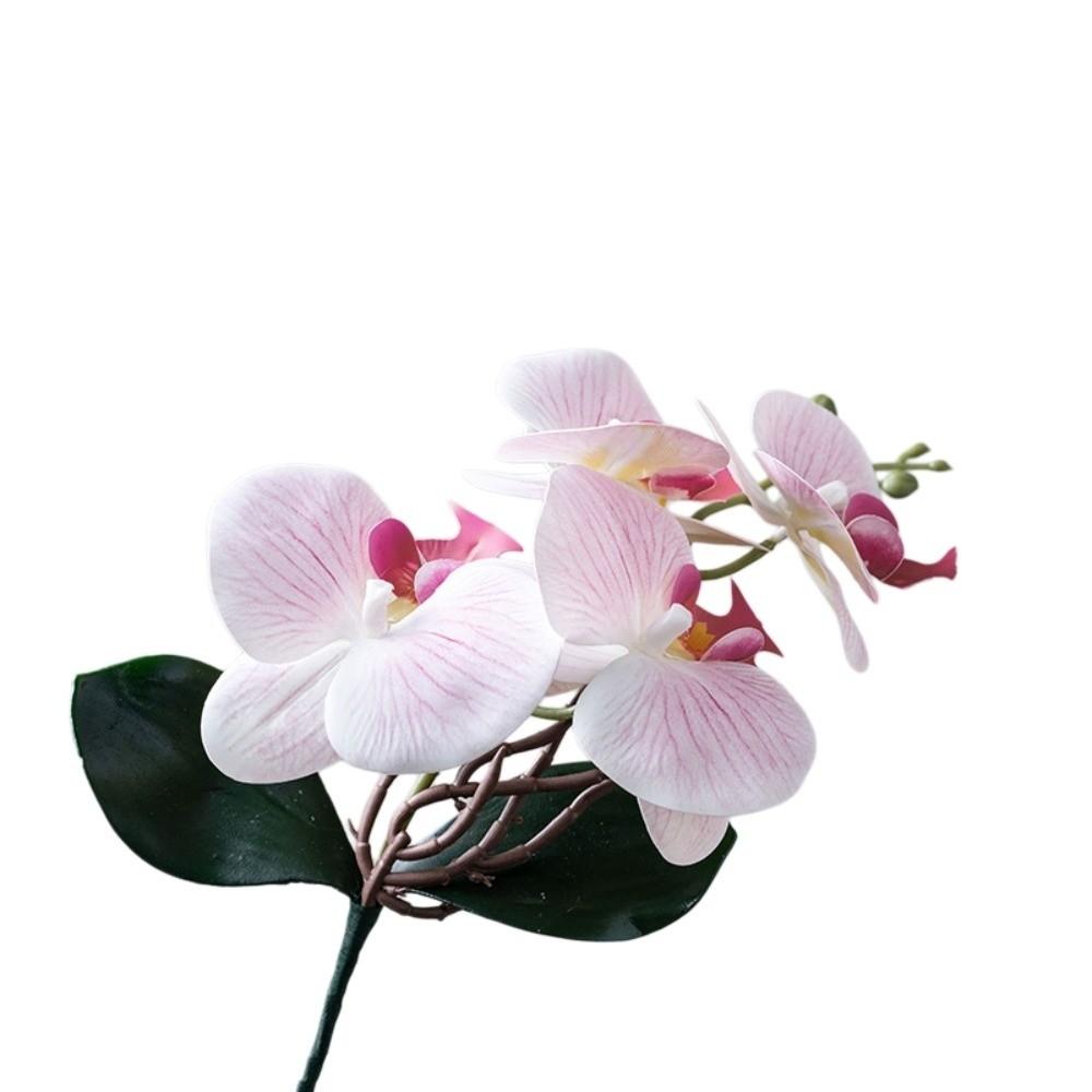 Cloth Simulation Phalaenopsis Vivid Fake Butterfly Orchid Artificial Moth Orchids  Bedroom
