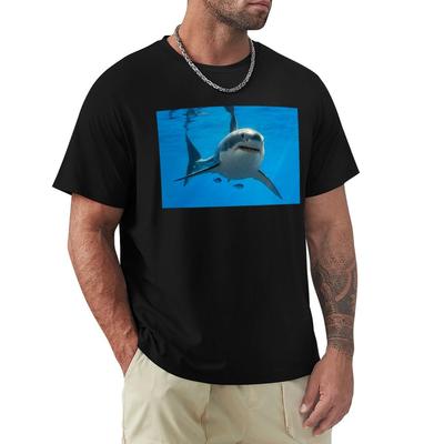 The Great White Shark TShirt Cotton Graphic Tees Vintage Graphic Tee Tshirts Personalised Mens T Shirts Pack