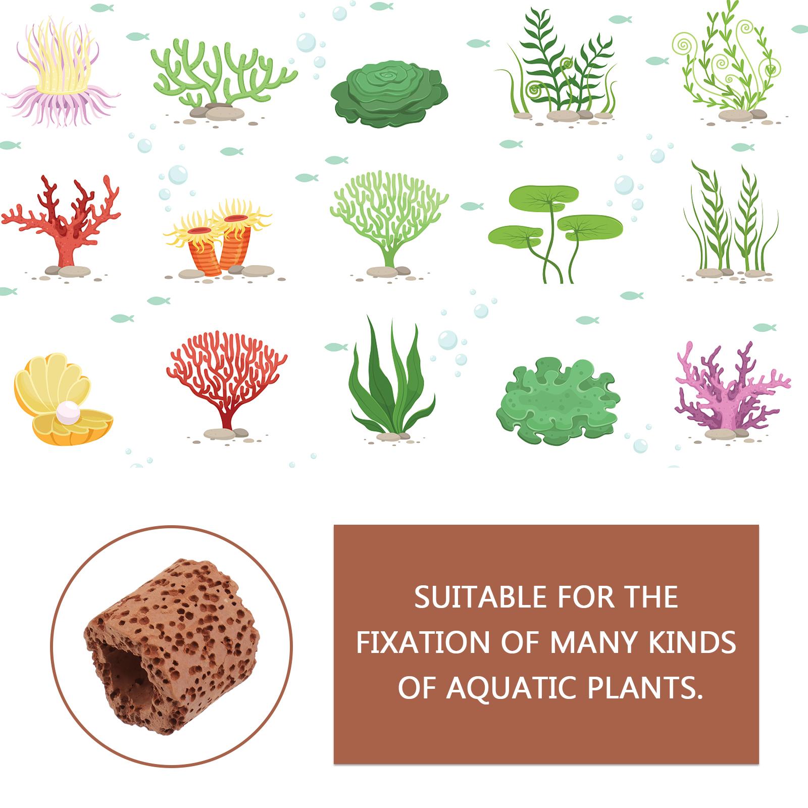 

Plant Water Fixed Aquarium Ring Holder Fish Cup Tank Media For Pottery Plants Weights Pot Aquatic Filter Ceramic Pond Planter 2.5x2.5cm